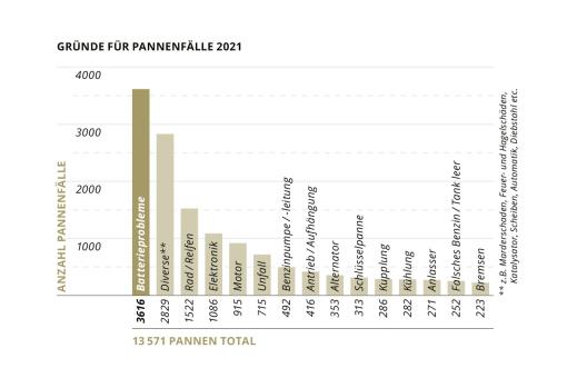 Gründe für Pannenfälle