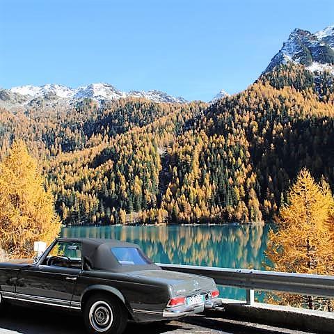 Lavendel Feld Provence