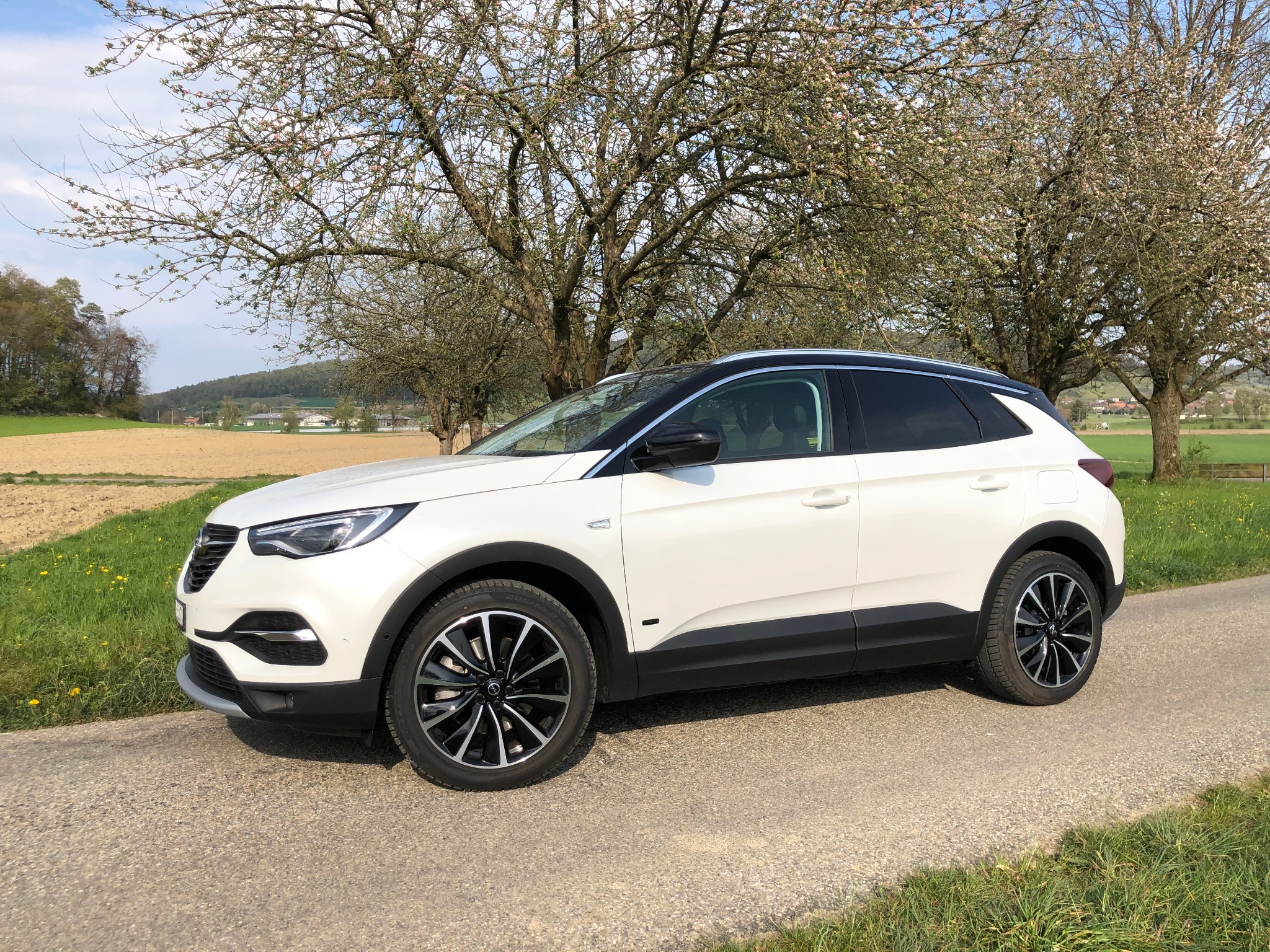 Vasca Baule Per Opel Grandland X (anche Hybrid) Dal 2017 - Protezione Bagagliaio Su Misura Antiscivolo E Impermeabile - Foto 11