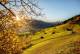 Philosophenweg, Triesenberg