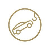 Classic Icon