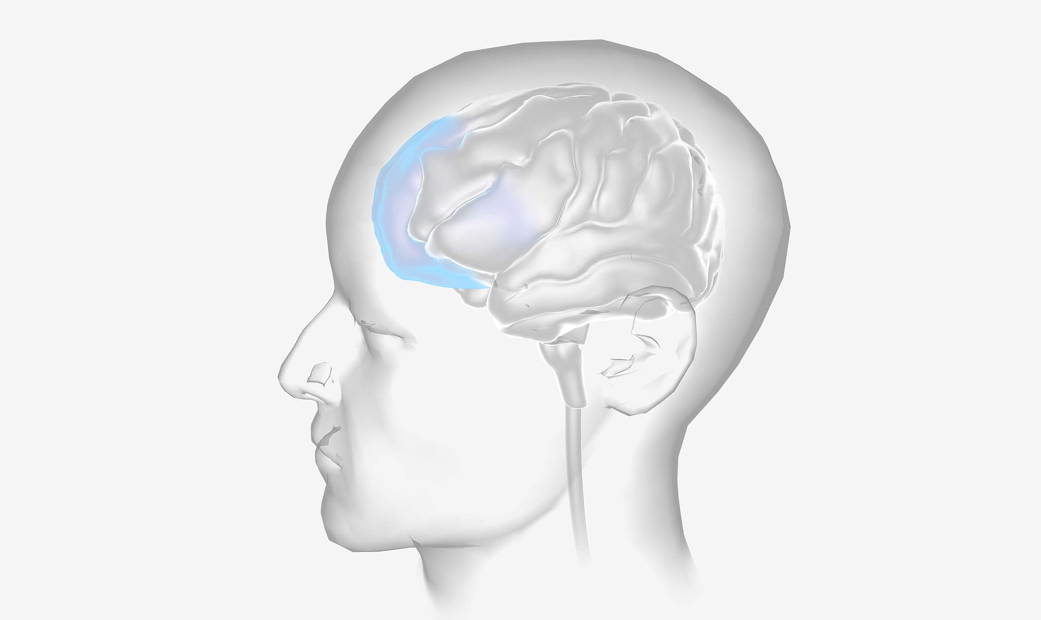 Die blaue Region auf dieser Illustration zeigt, wo im Gehirn der präfrontale Cortex ist. Dieser entwickelt sich erst im späteren Teenageralter endgültig aus.