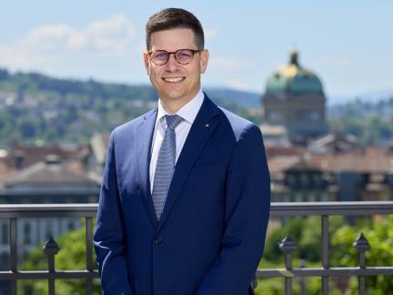 Simone Gianini, Président central