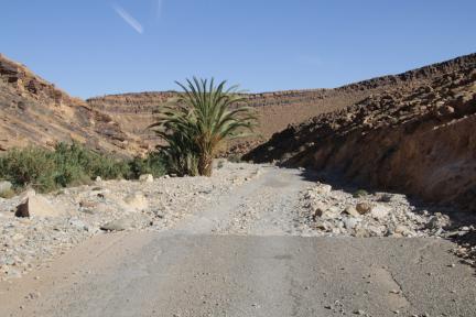So können Strassen in der Wüste auch aussehen
