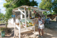 Freundlich und familiär geht es auf dem kleinen Gemüse- und Früchtemarkt in Negril zu.