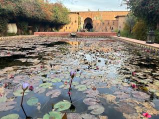 Un havre de paix : étang de l'Hôtel by Beldi à quelques kilomètres de Marrakech.